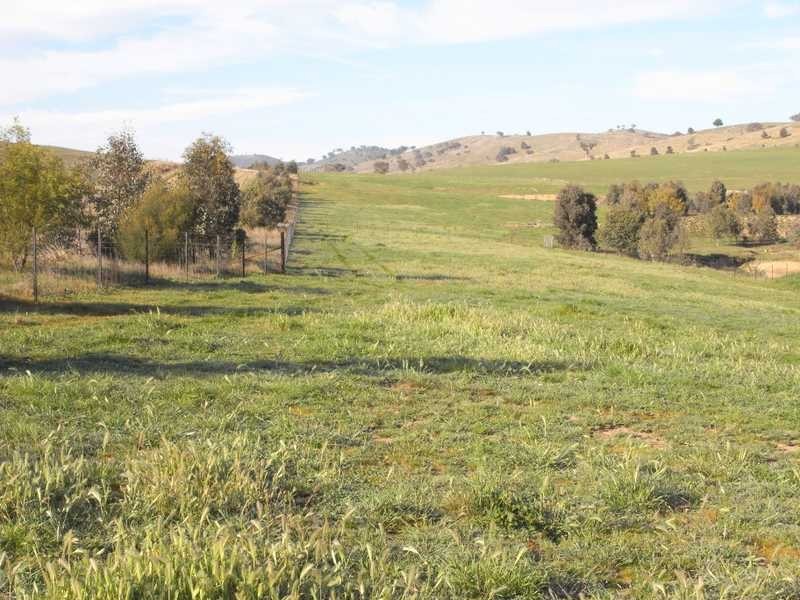 Lot/101 Old Burkleigh Estate, Gundagai NSW 2722