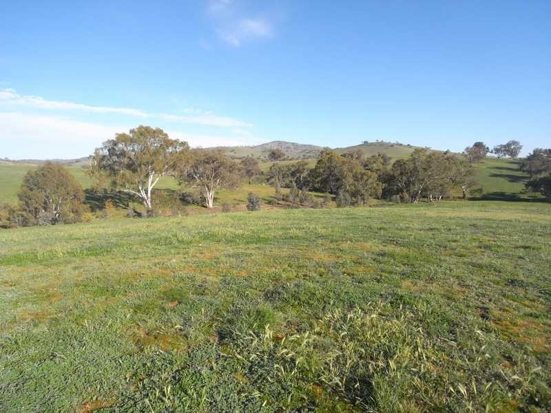 Lot/101 Old Burkleigh Estate, Gundagai NSW 2722