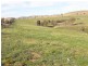 Lot/101 Old Burkleigh Estate, Gundagai NSW 2722