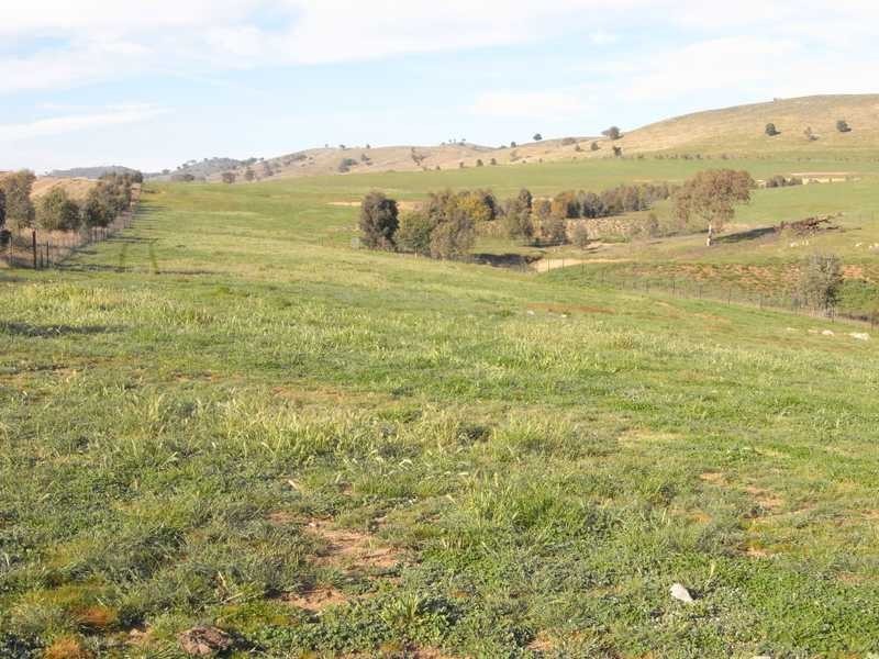 Lot/101 Old Burkleigh Estate, Gundagai NSW 2722