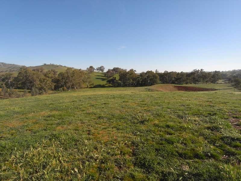 Lot/101 Old Burkleigh Estate, Gundagai NSW 2722