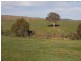 Lot/101 Old Burkleigh Estate, Gundagai NSW 2722