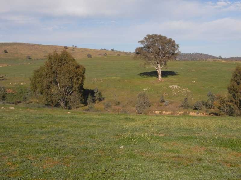 Lot/101 Old Burkleigh Estate, Gundagai NSW 2722