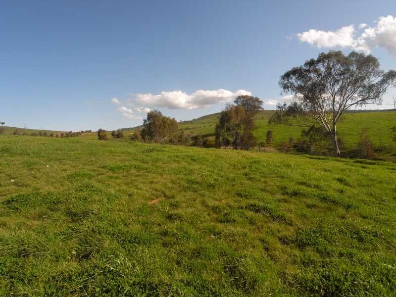 Lot/101 Old Burkleigh Estate, Gundagai NSW 2722