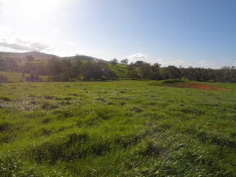 Lot/101 Old Burkleigh Estate, Gundagai NSW 2722