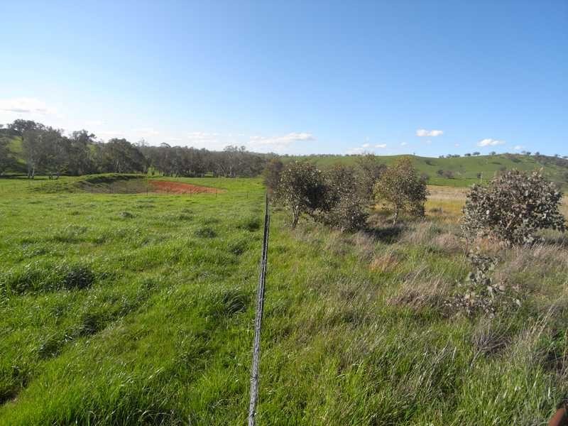 Lot/101 Old Burkleigh Estate, Gundagai NSW 2722