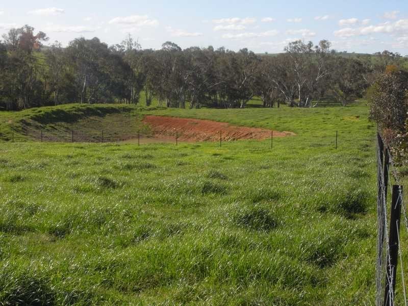 Lot/101 Old Burkleigh Estate, Gundagai NSW 2722