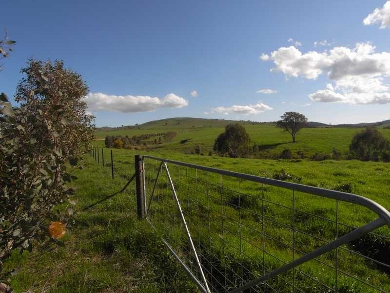 Lot/101 Old Burkleigh Estate, Gundagai NSW 2722