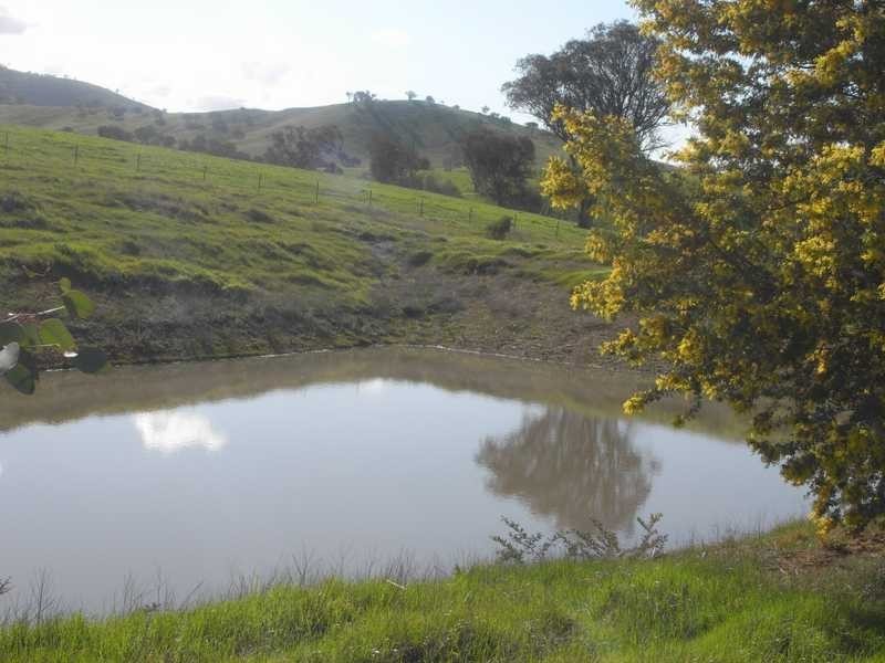 Lot/101 Old Burkleigh Estate, Gundagai NSW 2722