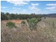 Lot/101 Old Burkleigh Estate, Gundagai NSW 2722