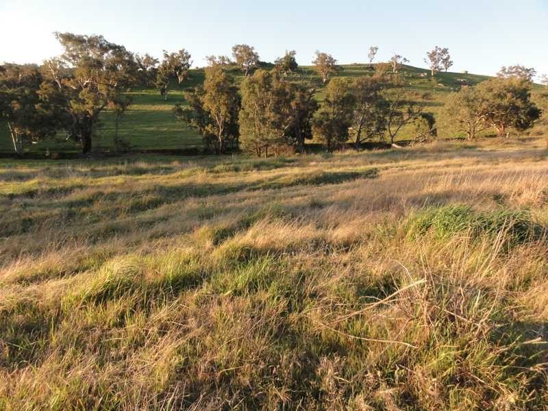 Lot 14 Riverside Drive Hume Highway, Jugiong NSW 2726