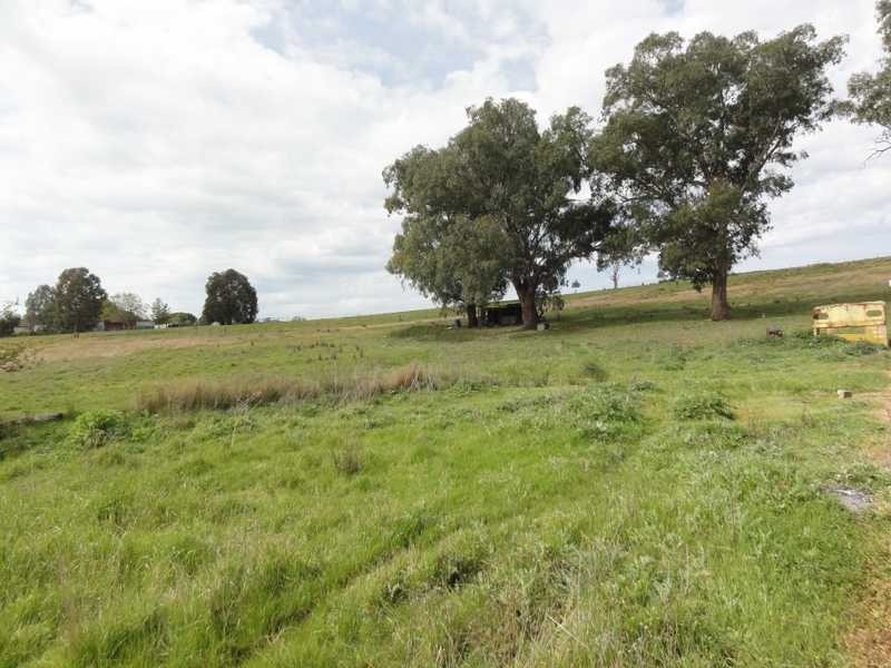 18 Neil McInerney, Gundagai NSW 2722