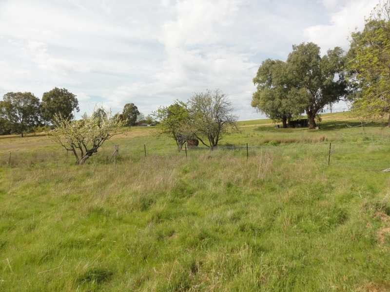 18 Neil McInerney, Gundagai NSW 2722