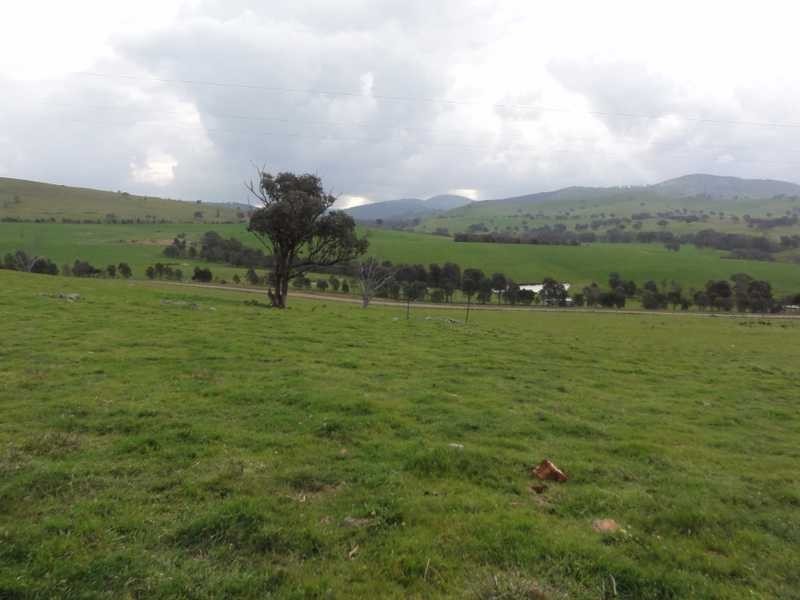 Lot 31 1093 Burra Road, Gundagai NSW 2722