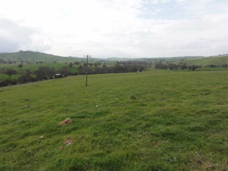 Lot 31 1093 Burra Road, Gundagai NSW 2722