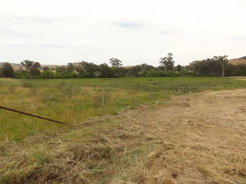 84 Lewins Lane, Tumblong NSW 2729