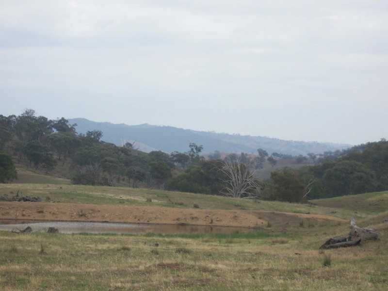 6342-68 Califat Road, Adelong NSW 2729