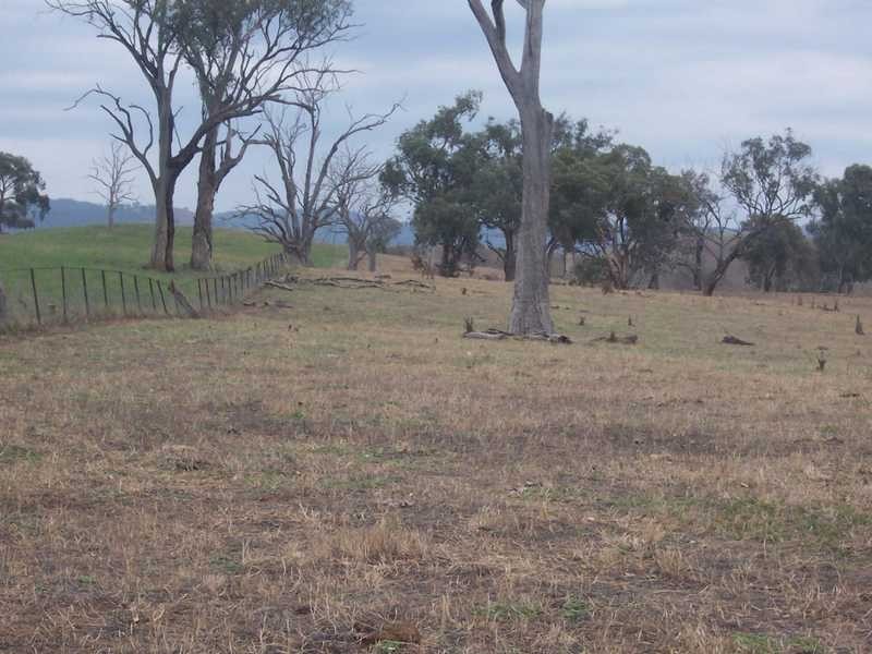 6342-68 Califat Road, Adelong NSW 2729