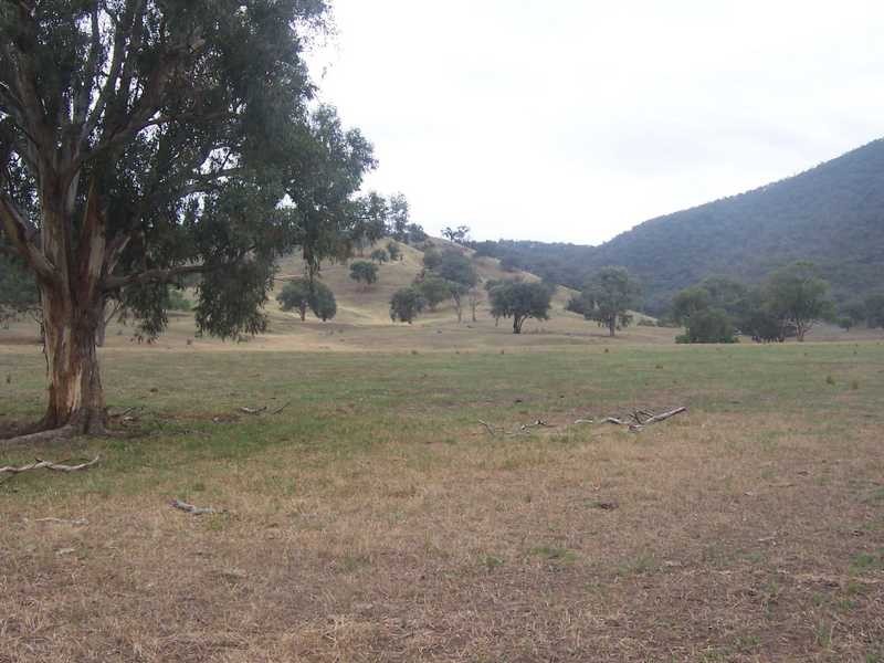 6342-68 Califat Road, Adelong NSW 2729