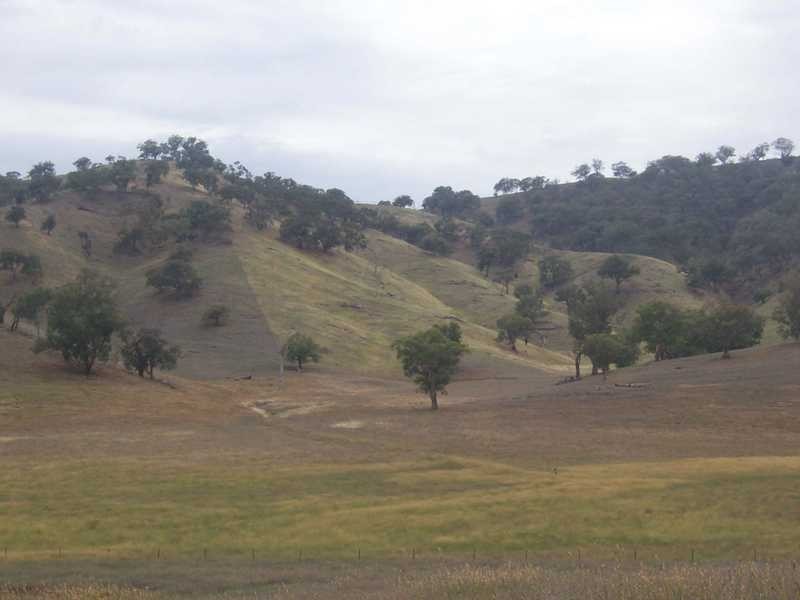 6342-68 Califat Road, Adelong NSW 2729