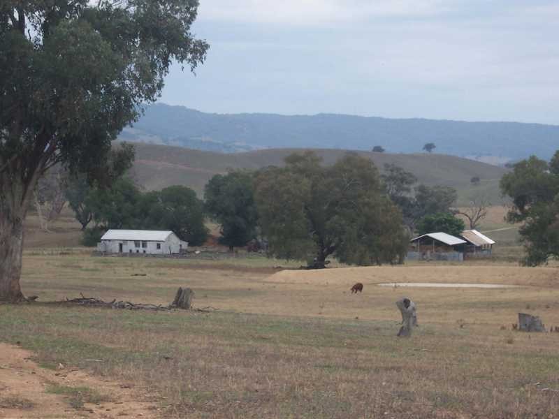 6342-68 Califat Road, Adelong NSW 2729