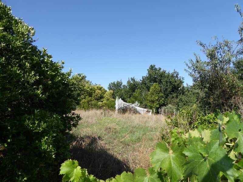 27 Tumut Street, Gundagai NSW 2722