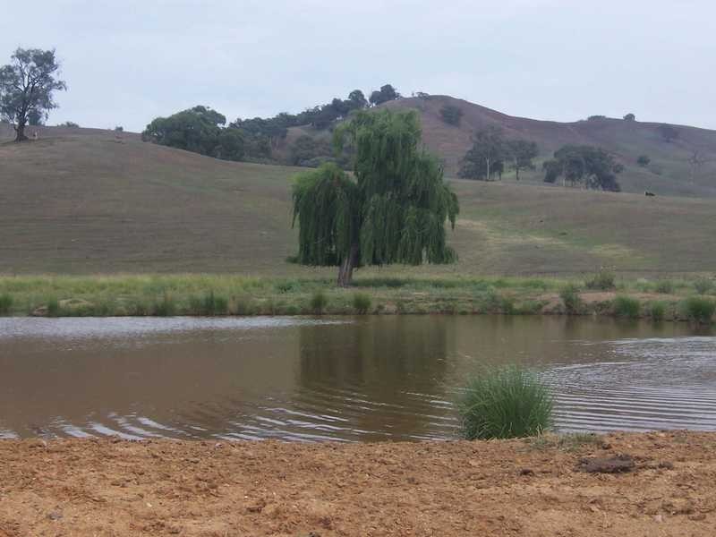 Lot/167 Gocup Road, Tumut NSW 2720