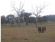 Lot/167 Gocup Road, Tumut NSW 2720