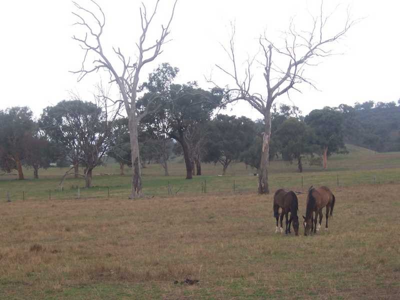 Lot/167 Gocup Road, Tumut NSW 2720