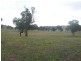 Lot/167 Gocup Road, Tumut NSW 2720
