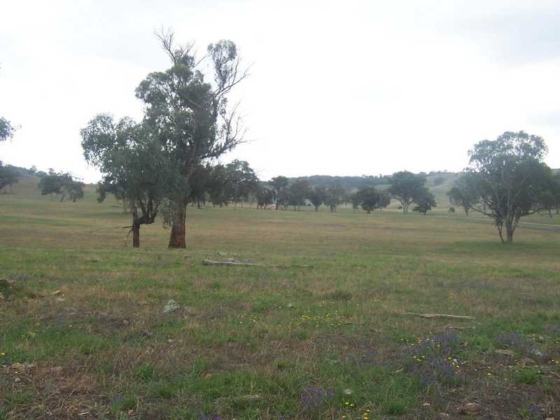 Lot/167 Gocup Road, Tumut NSW 2720