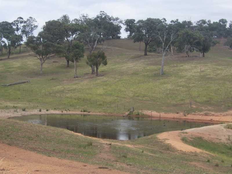 Lot/167 Gocup Road, Tumut NSW 2720