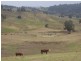 Lot/167 Gocup Road, Tumut NSW 2720