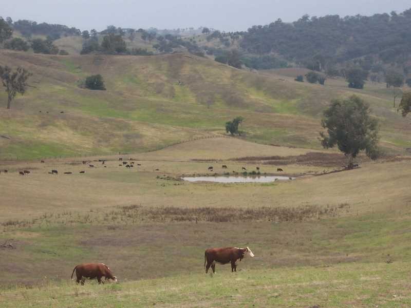 Lot/167 Gocup Road, Tumut NSW 2720