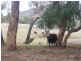 Lot/167 Gocup Road, Tumut NSW 2720