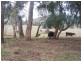 Lot/167 Gocup Road, Tumut NSW 2720