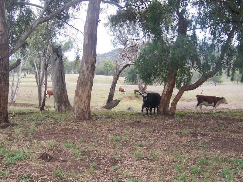 Lot/167 Gocup Road, Tumut NSW 2720