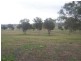 Lot/167 Gocup Road, Tumut NSW 2720