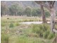 Lot/167 Gocup Road, Tumut NSW 2720
