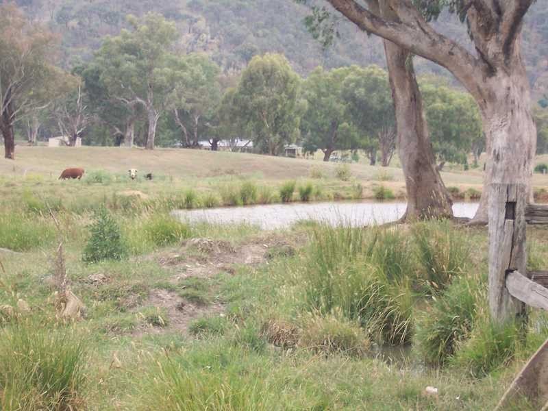 Lot/167 Gocup Road, Tumut NSW 2720