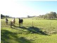 75 Spring Flat Drive, Gundagai NSW 2722