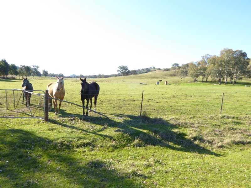 75 Spring Flat Drive, Gundagai NSW 2722