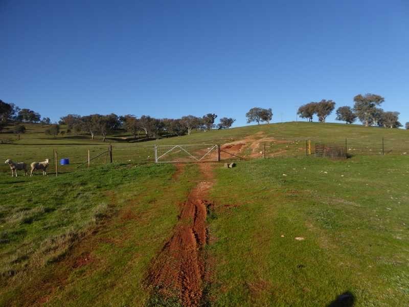 75 Spring Flat Drive, Gundagai NSW 2722
