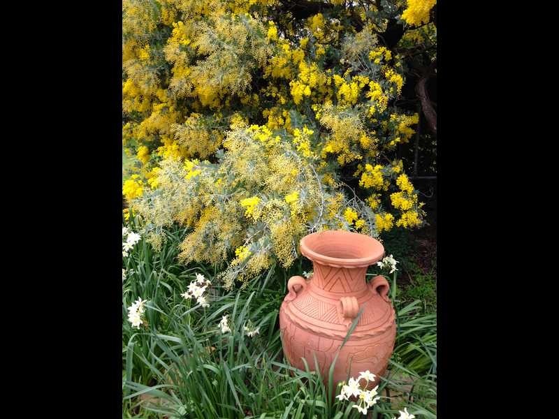 85 Mount Street, Gundagai NSW 2722