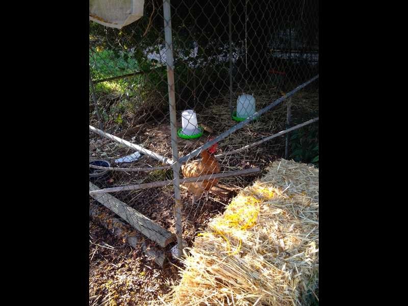 85 Mount Street, Gundagai NSW 2722