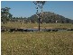 145 Merrimac Brungle Road, Gundagai NSW 2722