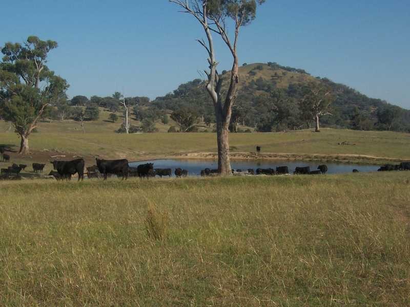 145 Merrimac Brungle Road, Gundagai NSW 2722