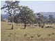 145 Merrimac Brungle Road, Gundagai NSW 2722