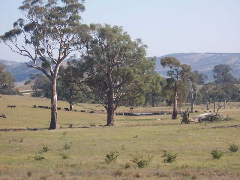 145 Merrimac Brungle Road, Gundagai NSW 2722