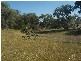 145 Merrimac Brungle Road, Gundagai NSW 2722